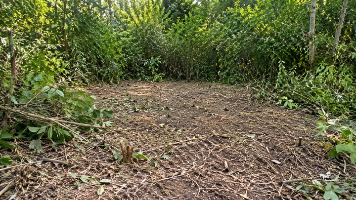Example of an open patch among woody brush