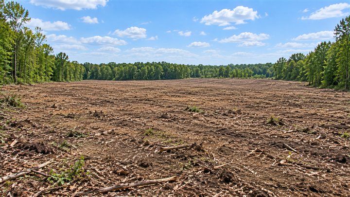 Example of a large cleared plot extending to a distant tree line